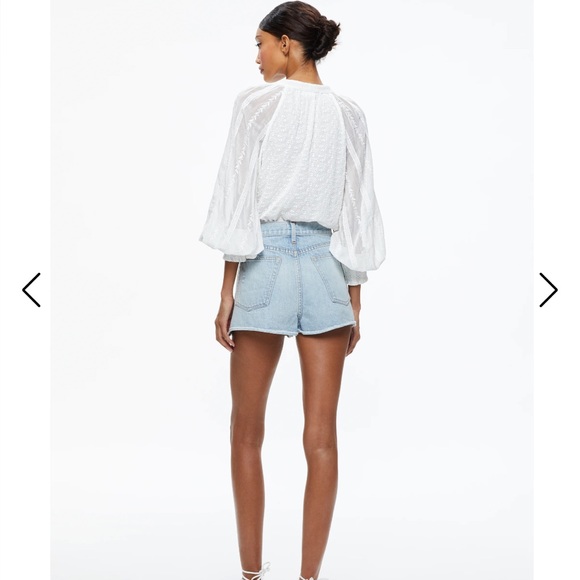 Alice Olivia LANG EMBROIDERED BUTTON DOWN BLOUSE - Picture 4 of 9